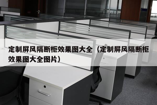 定制屏风隔断柜效果图大全（定制屏风隔断柜效果图大全图片）