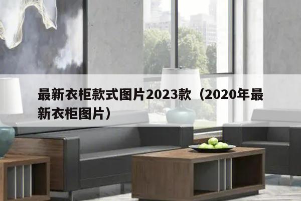 最新衣柜款式图片2023款（2020年最新衣柜图片）