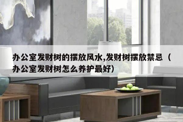 办公室发财树的摆放风水,发财树摆放禁忌（办公室发财树怎么养护最好）