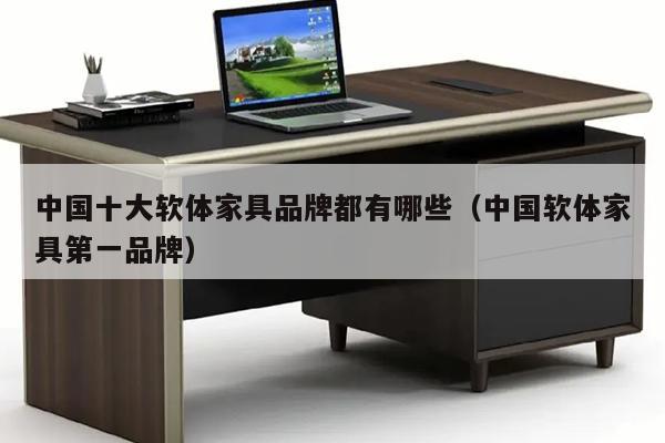 中国十大软体家具品牌都有哪些（中国软体家具第一品牌）