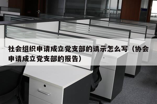 社会组织申请成立党支部的请示怎么写（协会申请成立党支部的报告）