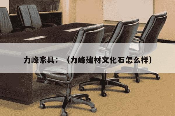 力峰家具：（力峰建材文化石怎么样）