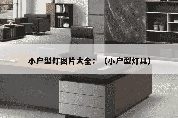 小户型灯图片大全：（小户型灯具）