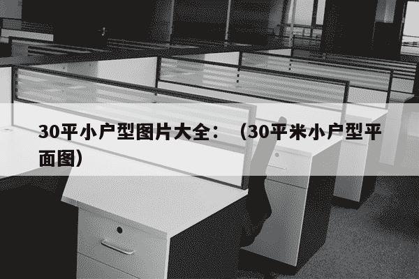 30平小户型图片大全：（30平米小户型平面图）