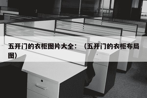 五开门的衣柜图片大全：（五开门的衣柜布局图）