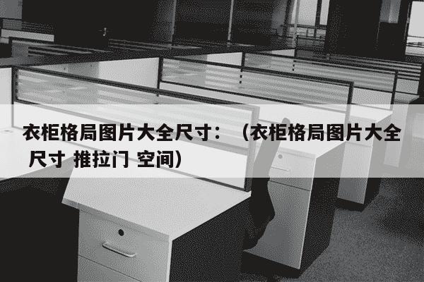 衣柜格局图片大全尺寸：（衣柜格局图片大全 尺寸 推拉门 空间）