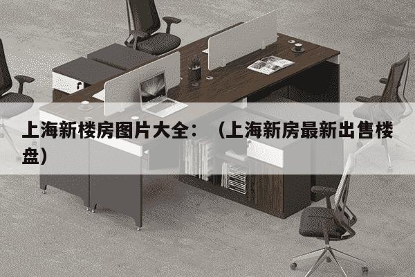 上海新楼房图片大全：（上海新房最新出售楼盘）