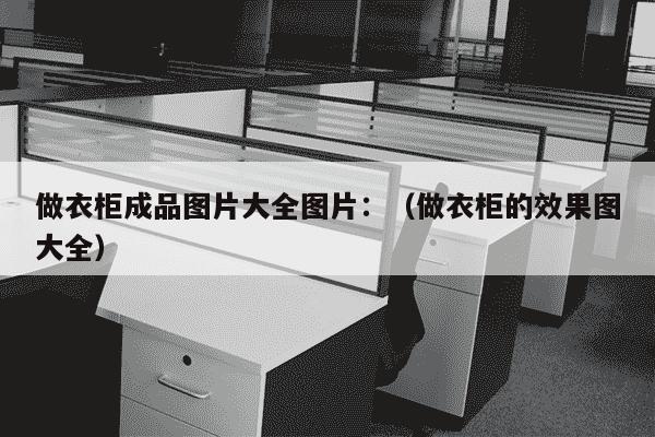 做衣柜成品图片大全图片：（做衣柜的效果图大全）