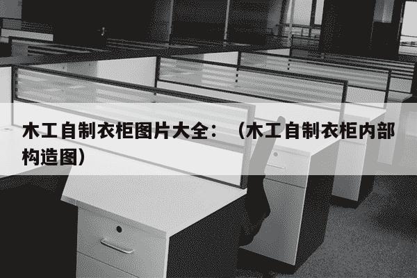 木工自制衣柜图片大全：（木工自制衣柜内部构造图）