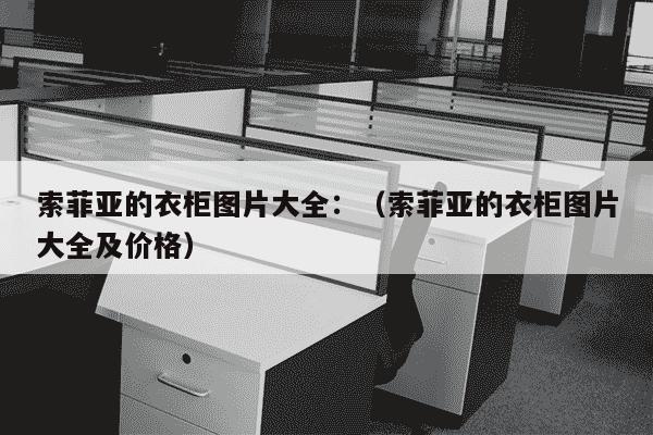 索菲亚的衣柜图片大全：（索菲亚的衣柜图片大全及价格）