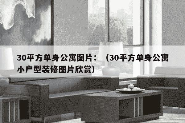 30平方单身公寓图片：（30平方单身公寓小户型装修图片欣赏）