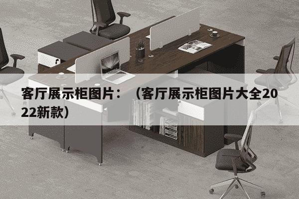 客厅展示柜图片：（客厅展示柜图片大全2022新款）