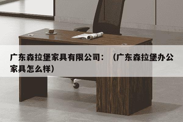 广东森拉堡家具有限公司：（广东森拉堡办公家具怎么样）