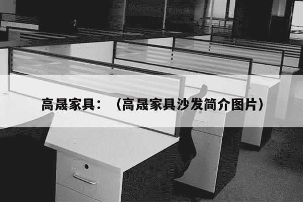 高晟家具：（高晟家具沙发简介图片）