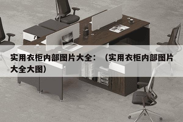 实用衣柜内部图片大全：（实用衣柜内部图片大全大图）