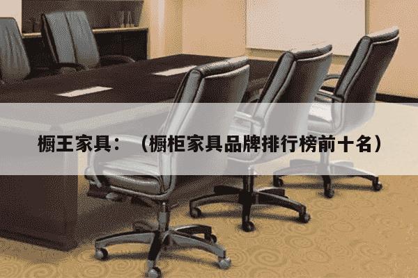 橱王家具：（橱柜家具品牌排行榜前十名）