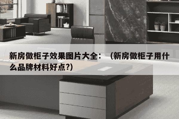 新房做柜子效果图片大全：（新房做柜子用什么品牌材料好点?）