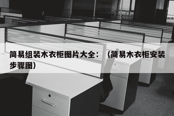 简易组装木衣柜图片大全：（简易木衣柜安装步骤图）