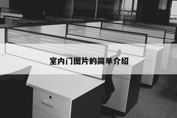 室内门图片的简单介绍