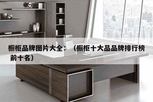 橱柜品牌图片大全：（橱柜十大品品牌排行榜 前十名）