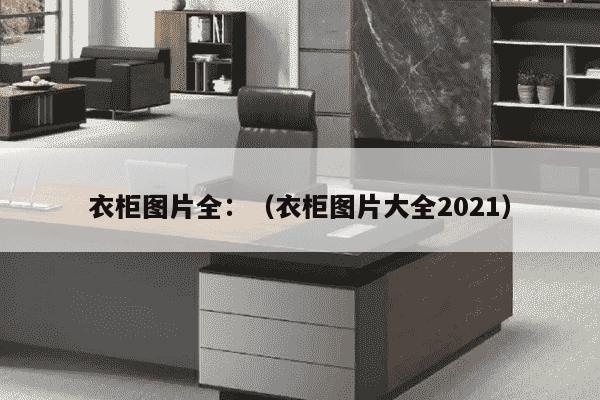 衣柜图片全：（衣柜图片大全2021）